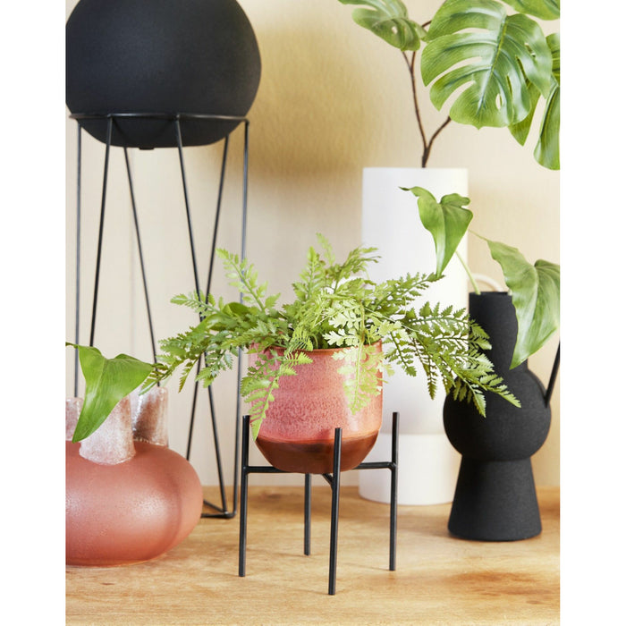 41286e85-08cb-4ad7-8304-cf20bf393d3e-afbeelding3.jpg (7621577)