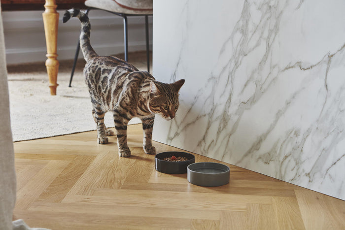 MiaCara Scodella kattenvoerbak Cement