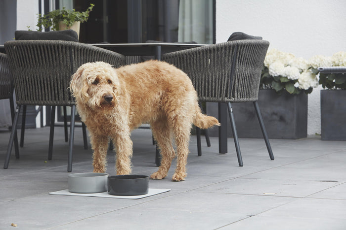 MiaCara Scodella hondenvoerbak large Cement