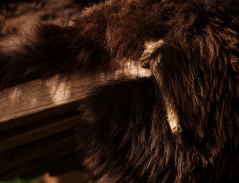 7c587079-852f-4f85-9062-349615361a75-afbeelding6.jpg (7680211)