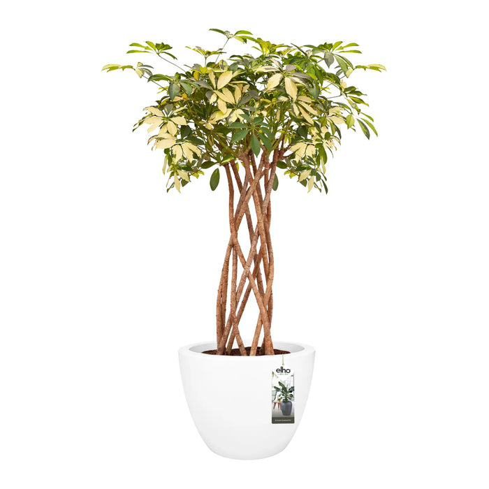 elho Pure Soft Round Bloempot Ø 50 cm - Wit