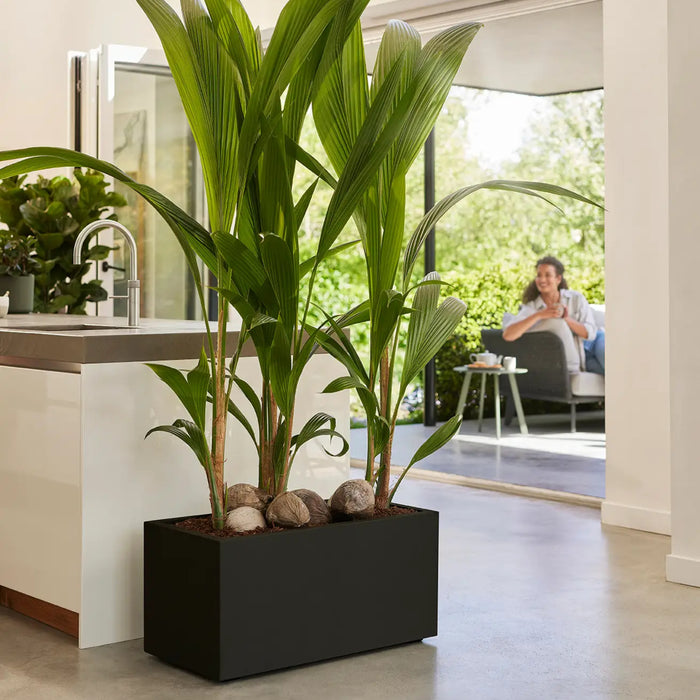 elho Vivo Next Plantenbak B 80 cm - Zwart