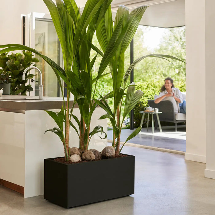 elho Vivo Next Plantenbak B 60 cm - Zwart