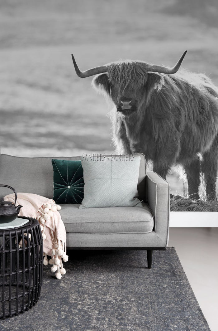 Sanders & Sanders fotobehang schotse hooglander zwart wit - 300 x 279