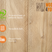 Wood4you - Tuinbank - Vlieland - 'Doe het zelf' Bouwpakket steigerhout