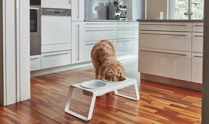 MiaCara Desco hondenvoerbak porselein medium wit