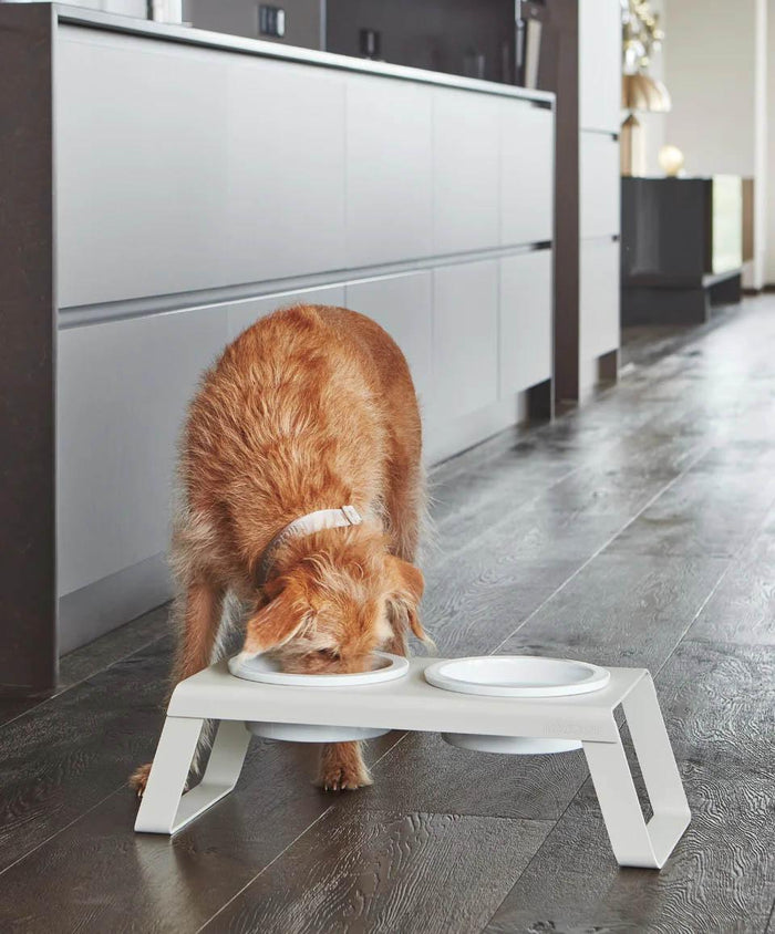 MiaCara Desco hondenvoerbak porselein medium essen zwart