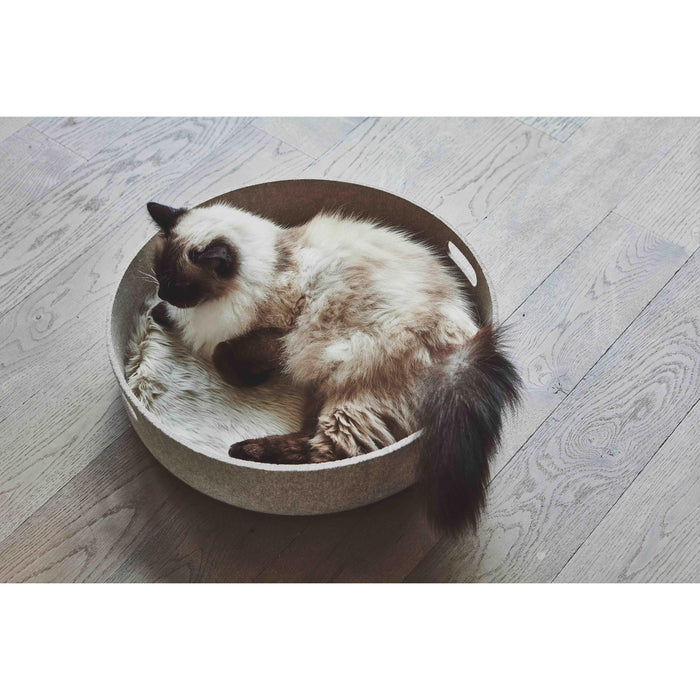 93d7b11f-087d-4f54-b67e-d9fc9c0f82df-afbeelding3.jpg (7755549)