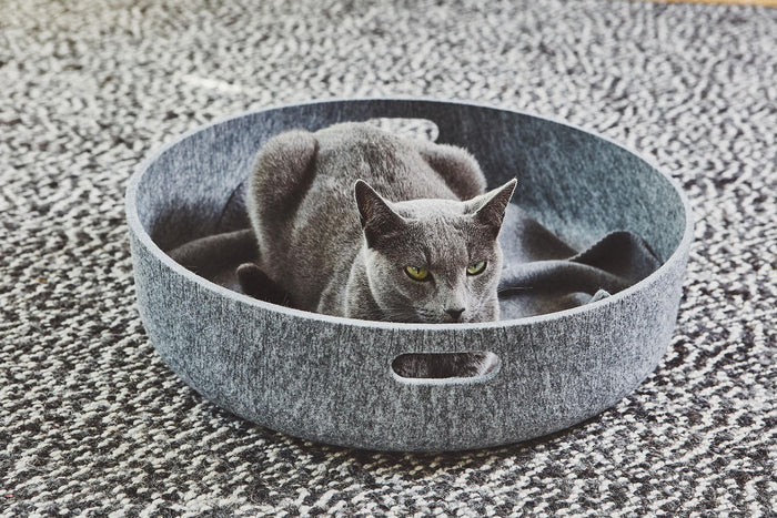 93d7b11f-087d-4f54-b67e-d9fc9c0f82df-afbeelding6.jpg (7755556)