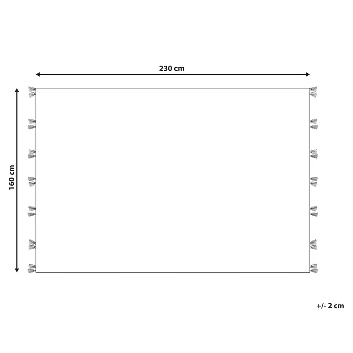 1edfa21f-ccf5-443b-9776-e8ae0003d386-afbeelding11.jpg (7793786)