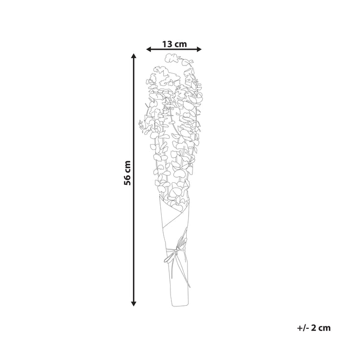 28b402fa-d1c2-4630-8505-e96092ac5fe7-afbeelding11.jpg (7794341)