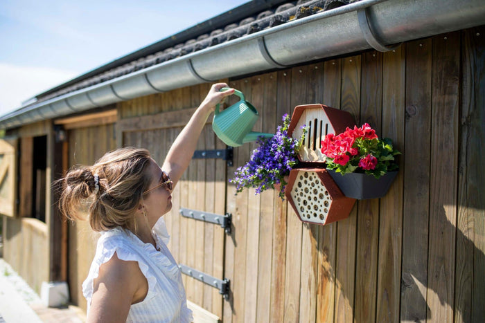 Capi Europe Waterbak Hive Antraciet