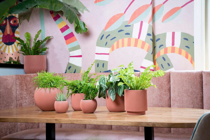 0853019a-e064-426e-b2d2-110e5fca67d3-afbeelding6.jpg (7798050)