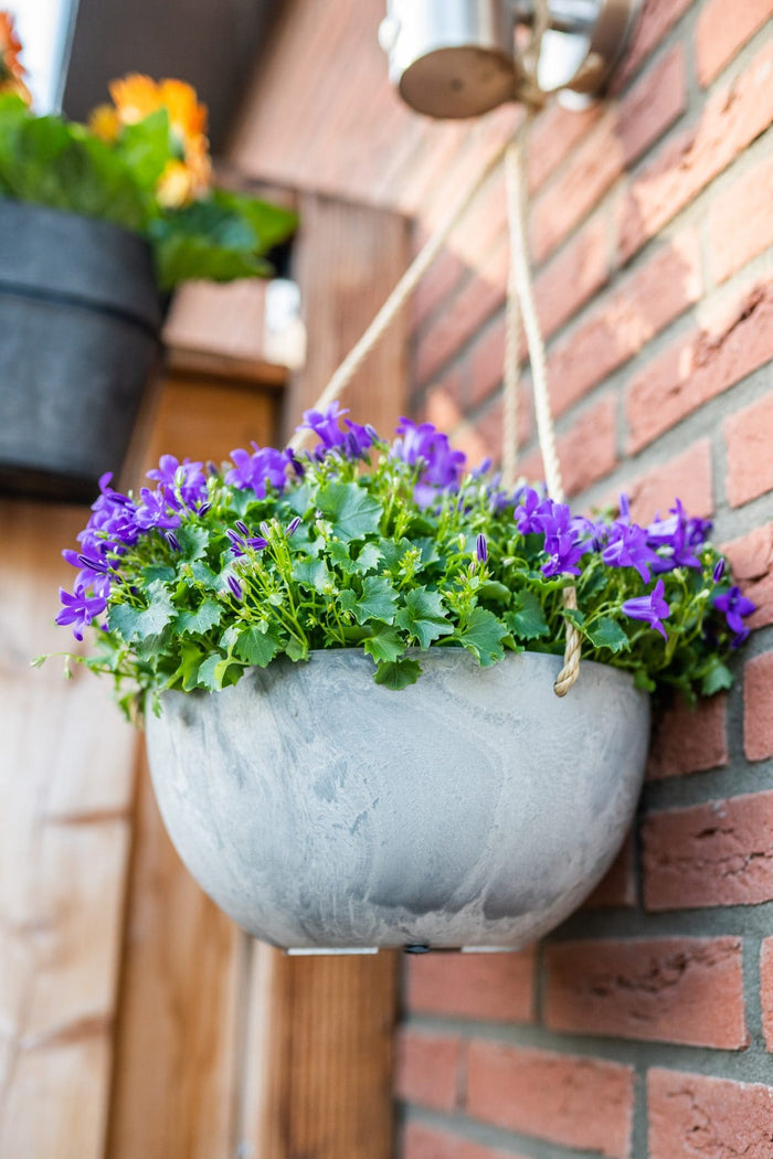 Artstone Hanger Fiona - 25x12 - Oak