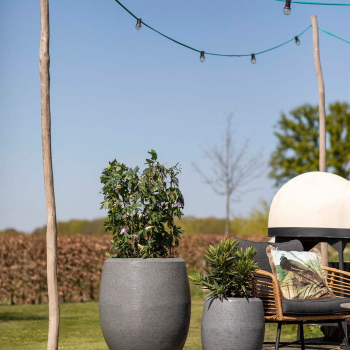 Capi Europe Vaas elegant deluxe Granite - 63x75 - Antraciet