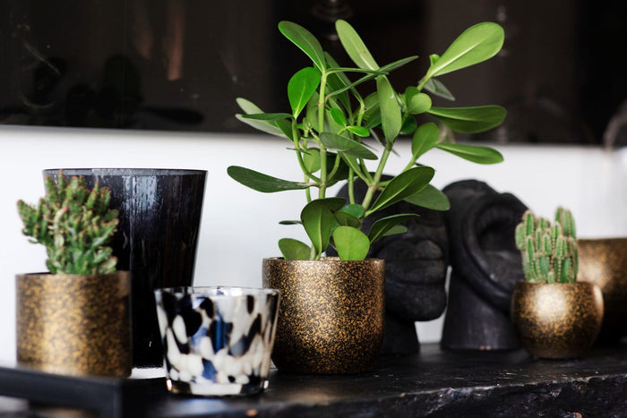 e94298cc-2e16-4622-a3c2-cf5df2f80035-sfeerbeeld.jpg (7804667)