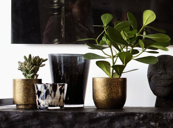 e94298cc-2e16-4622-a3c2-cf5df2f80035-afbeelding4.jpg (7804669)