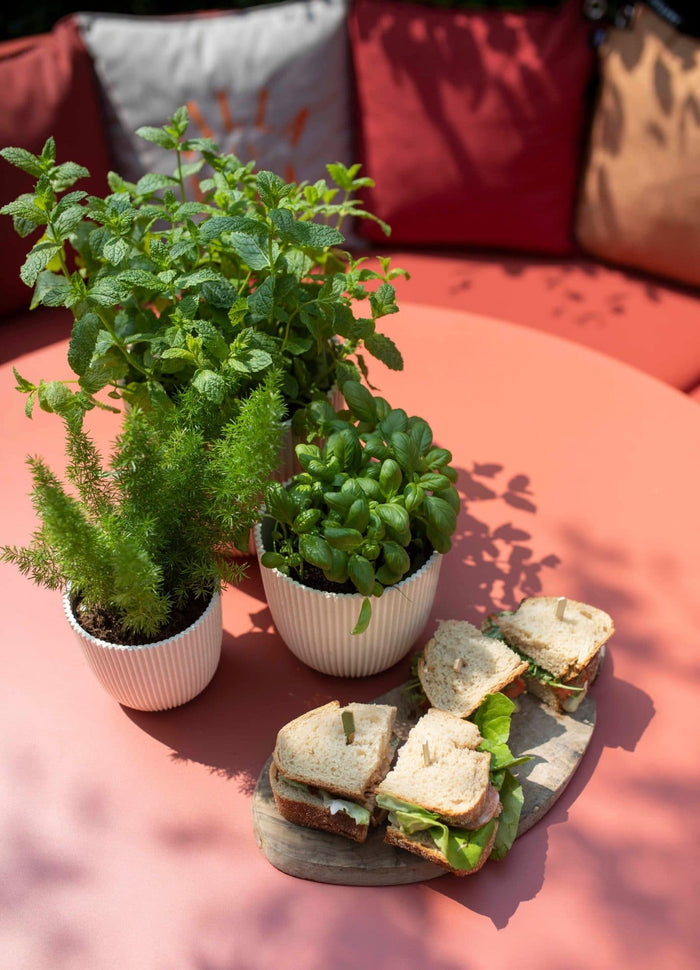 68c5126a-8125-4b43-bef5-7d89ed4f6edd-afbeelding3.jpg (7805099)