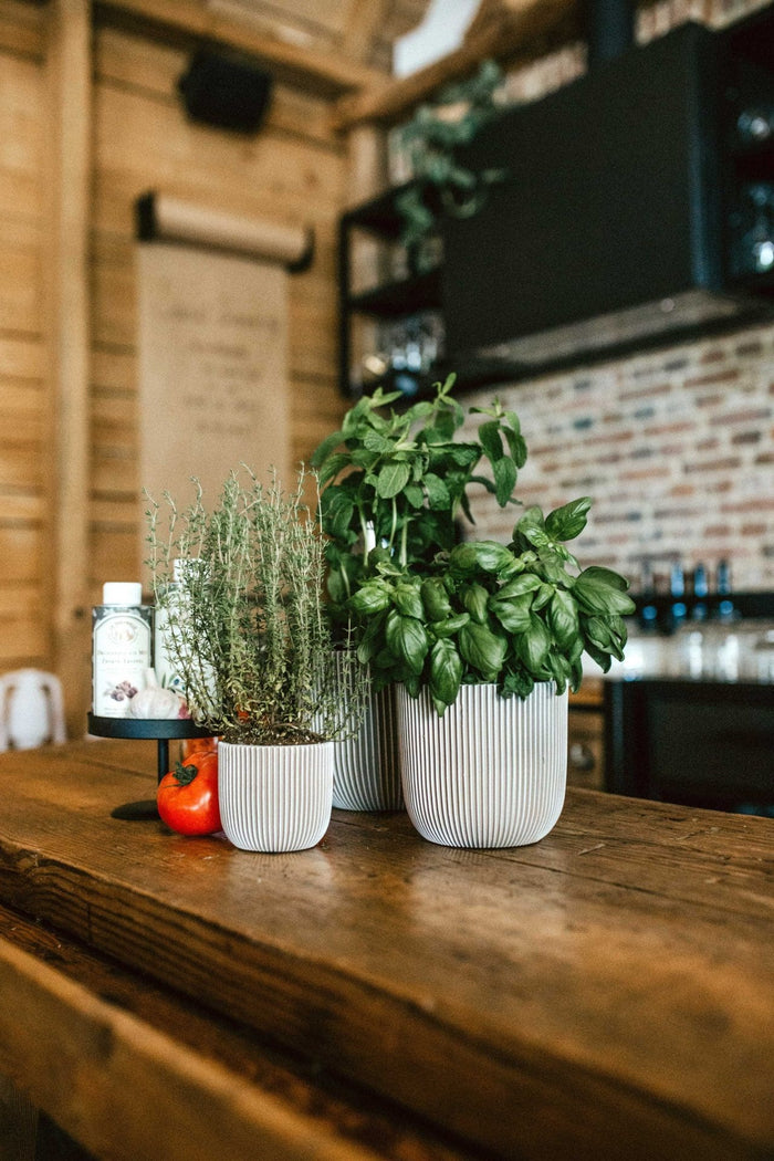 c064afd2-4aa7-43f7-afd6-2de6998a2ffe-afbeelding3.jpg (7805520)