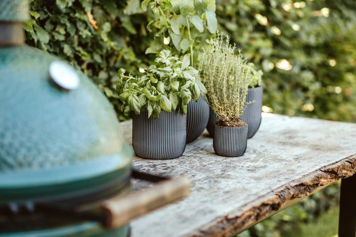 c064afd2-4aa7-43f7-afd6-2de6998a2ffe-afbeelding4.jpg (7805521)