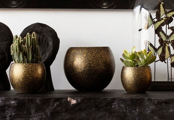 be561d11-65a7-4a83-bb36-673d87f643d0-afbeelding5.jpg (7805602)