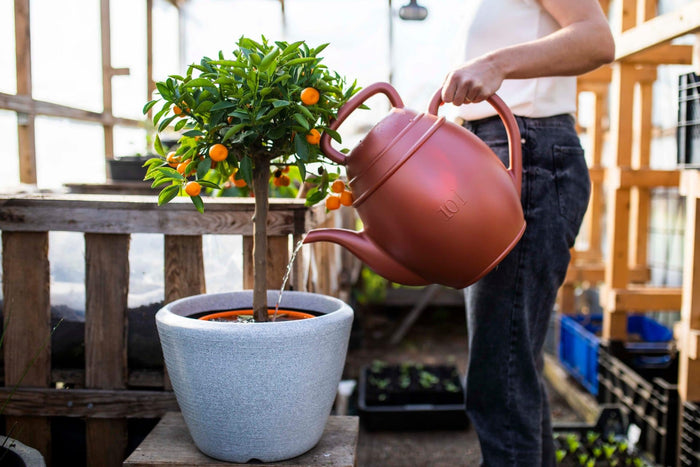 Xala - Gieter Chai 10L - Zwart