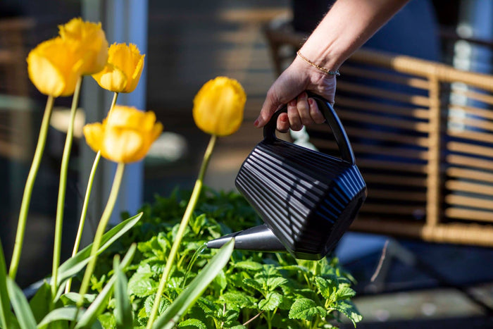 Xala - Gieter Doppio Groove 2L - Oud groen