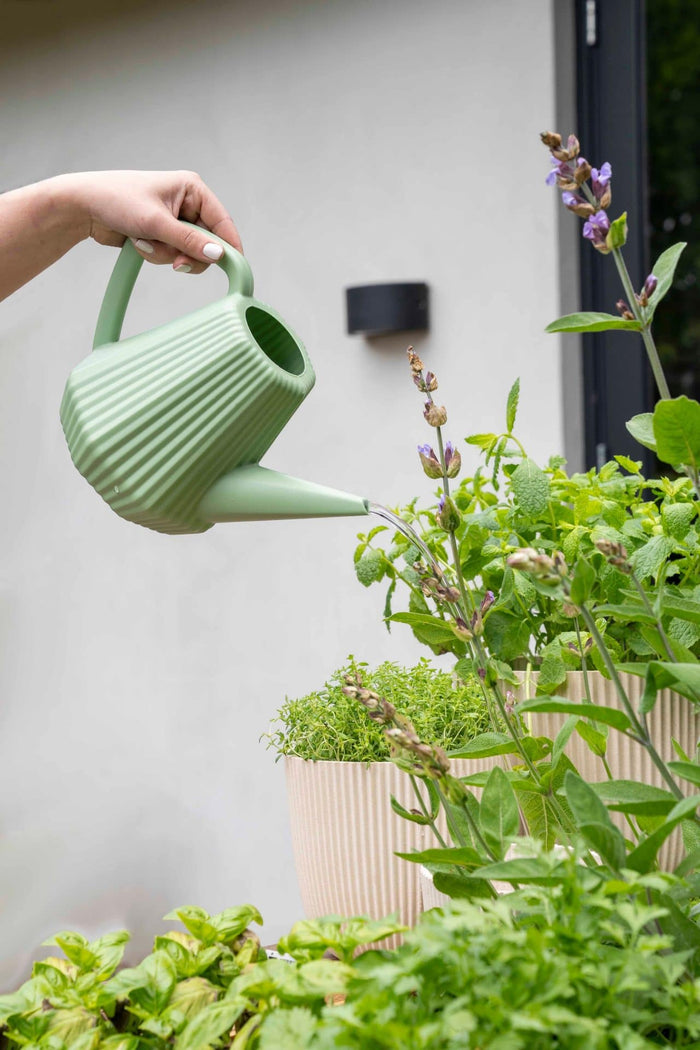 Xala - Gieter Doppio Groove 2L - Oud groen