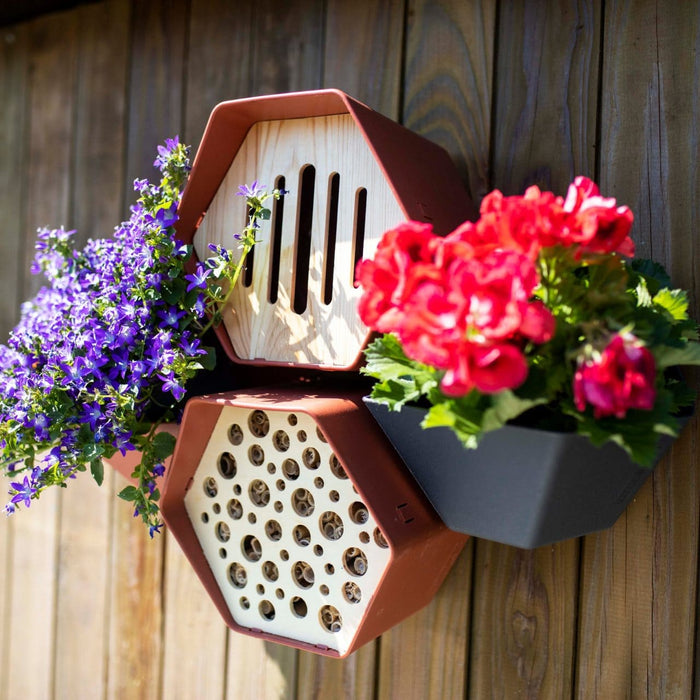 Capi Europe - Plantenbakje Hive - 19x23x20 - Bruin