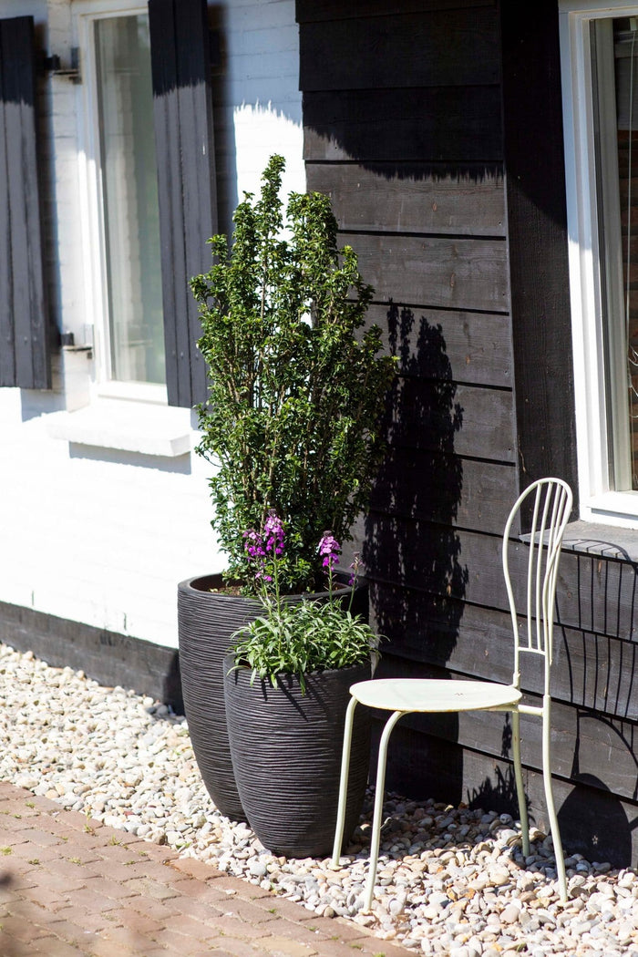 Capi Europe - Vaas elegant laag Rib NL - 34x46 - Goud