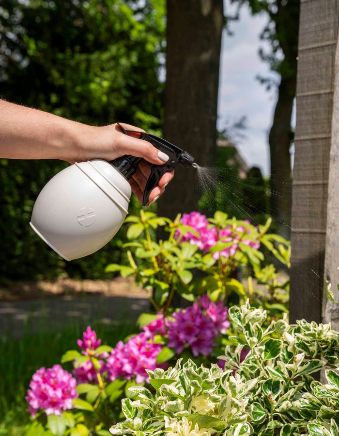 Xala - Plantenspuit Chai 0,5L - Oud groen