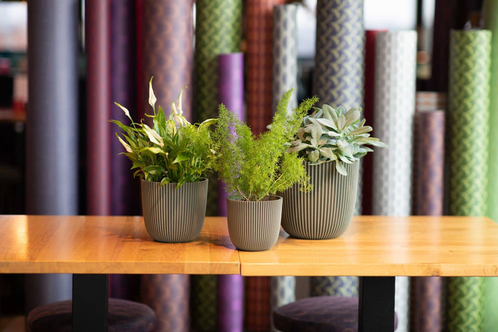 71326c26-309a-41b4-be93-76ec58b69d05-sfeerbeeld.jpg (7813118)