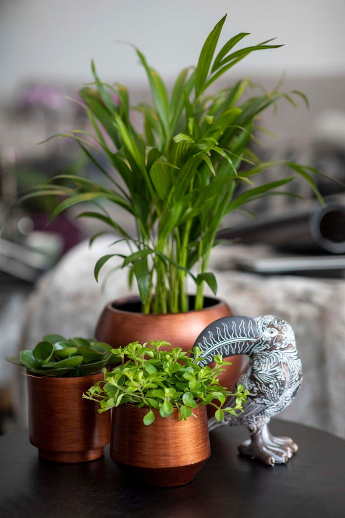 c07abfd6-8c08-413c-a943-02c236adb2e4-afbeelding6.jpg (7818645)