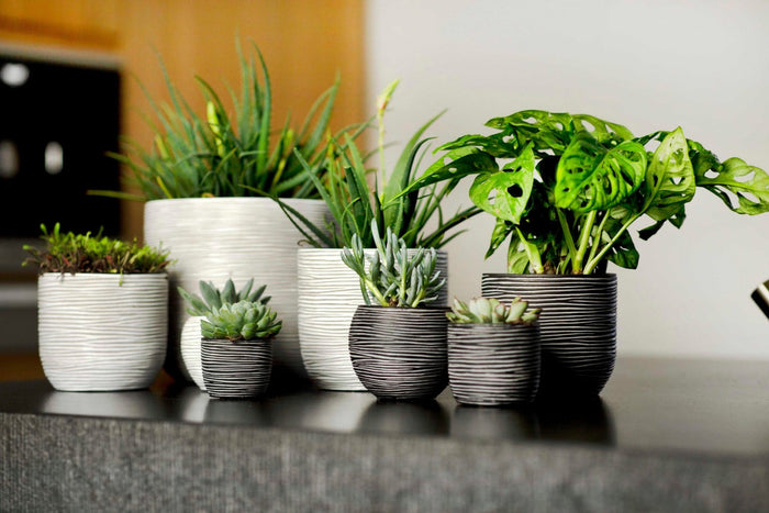 97f8887a-1ad6-49cf-bcd9-31df595b9bc3-sfeerbeeld.jpg (7818651)