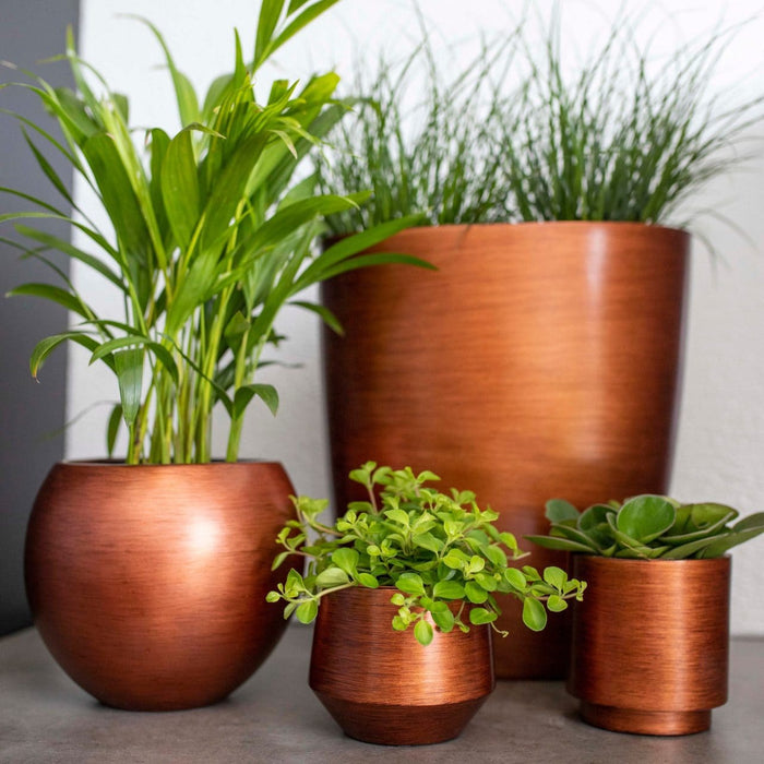 2aaff438-b985-4d33-8ddd-6b48d7c030db-afbeelding4.jpg (7818668)