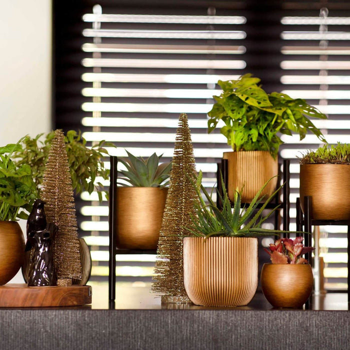 2aaff438-b985-4d33-8ddd-6b48d7c030db-afbeelding5.jpg (7818669)