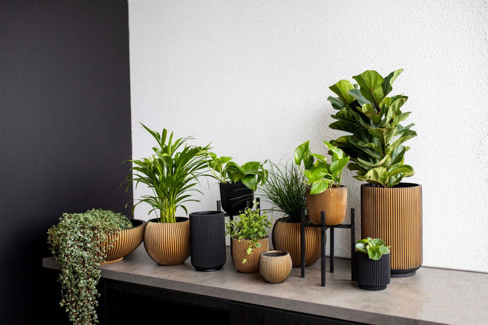 1b96e8dc-d1ca-4970-88a3-bfd8f7af31c2-sfeerbeeld.jpg (7818698)