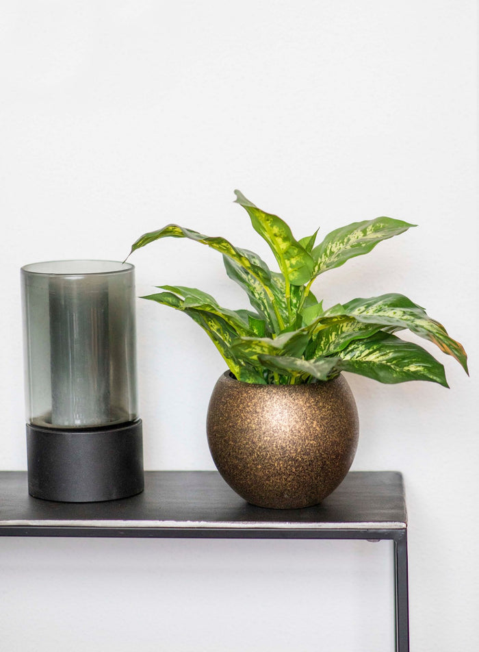 3e23007c-e4d6-4012-8bfb-4de7db26723e-sfeerbeeld.jpg (7818945)