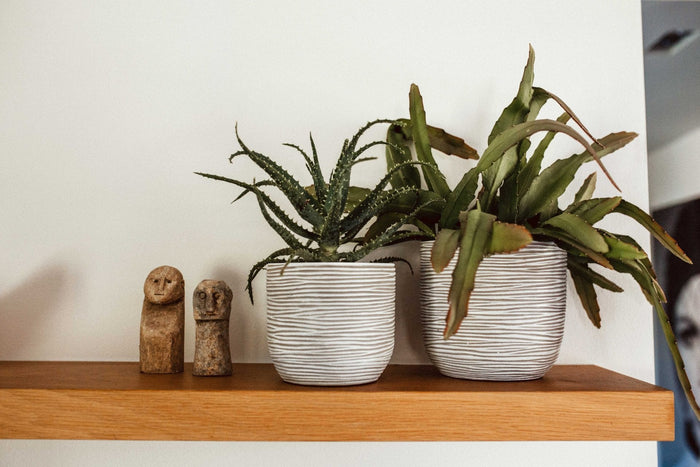 5069c3c5-a925-4fde-9326-0da3d7a1b4e4-afbeelding4.jpg (7818952)