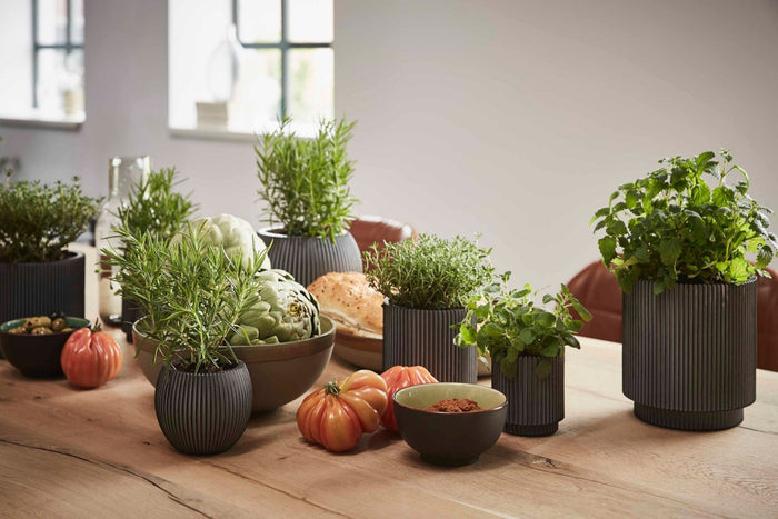 8a4db055-ba81-44e7-9411-73f530f8ec04-afbeelding5.jpg (7818990)