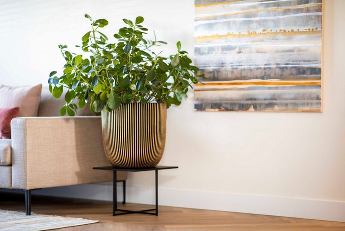 Capi Europe Bloempot bol Groove NL - 35x34 - Koper