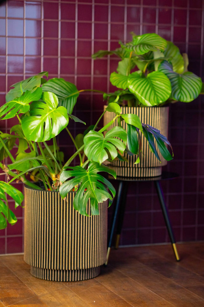 Capi Europe Vaas cilinder Groove NL - 41x43 - Antraciet