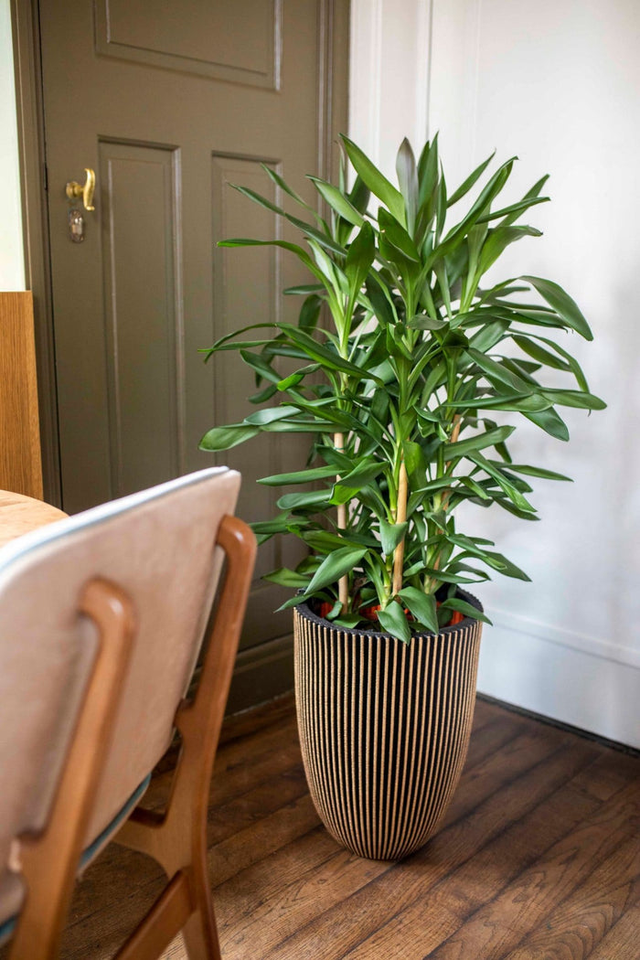 Capi Europe - Vaas elegant laag Groove NL - 34x46 - Koper