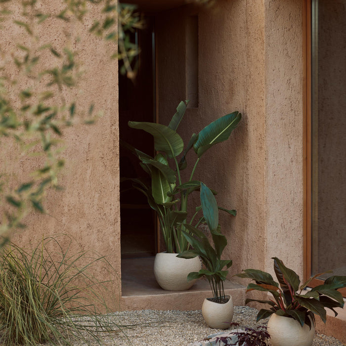 b8645fbc-53e7-4ef2-9899-a92767151573-sfeerbeeld.jpg (7845465)