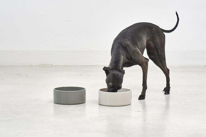 MiaCara Scodella hondenvoerbak small Cement