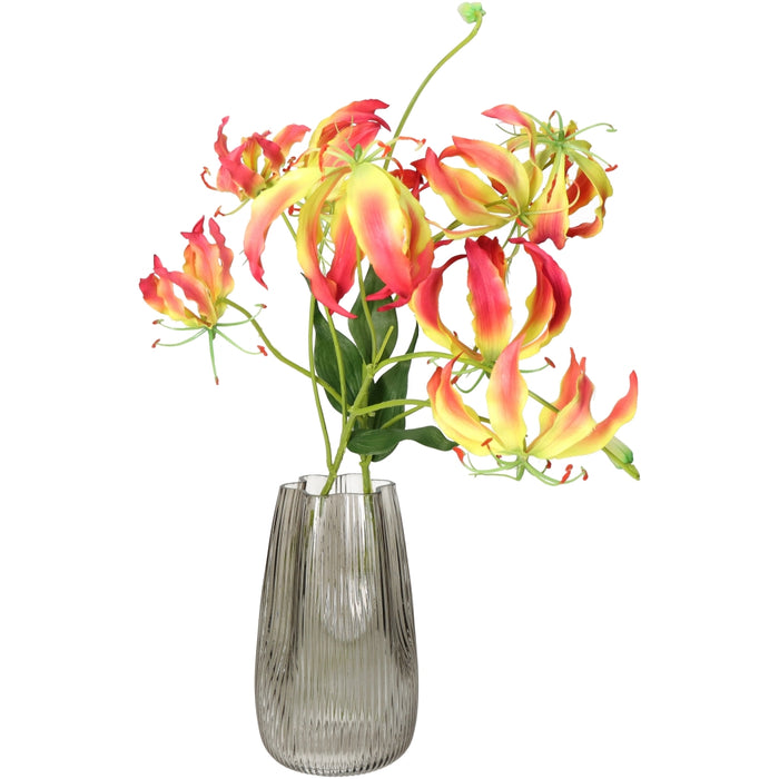 38e7d433-abf6-4f83-bb90-c9f1624fcc11-afbeelding4.jpg (7869665)