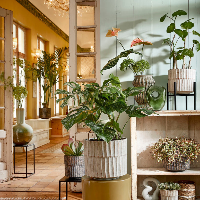 f9cb8e08-afee-4cb4-a75c-793450fff58c-afbeelding6.jpg (7892960)