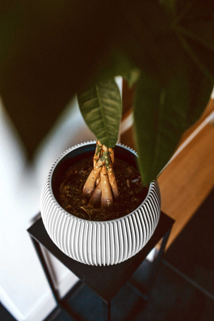 17b9442d-e2fb-474d-ac74-289a7dcfea62-afbeelding4.jpg (7904493)