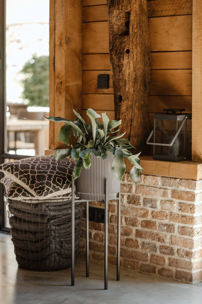 05bdc8c0-8d1c-4c8e-8406-95b0b3ea6f6f-afbeelding4.jpg (7904528)