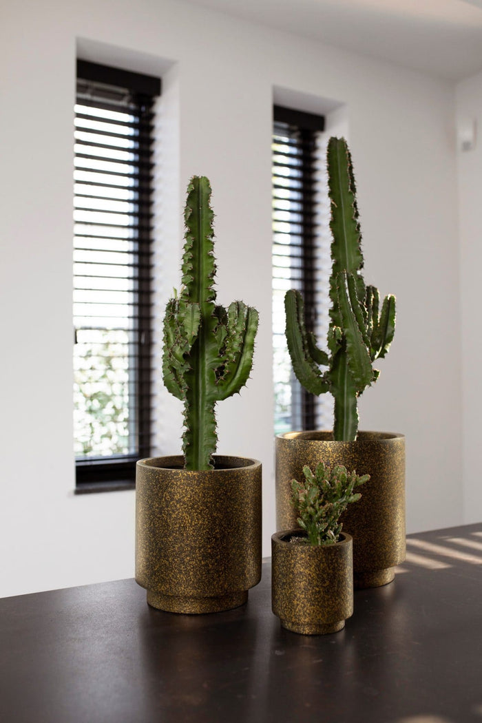 0f4613b5-10b8-43bc-ade4-f54c245feaec-afbeelding4.jpg (7904685)